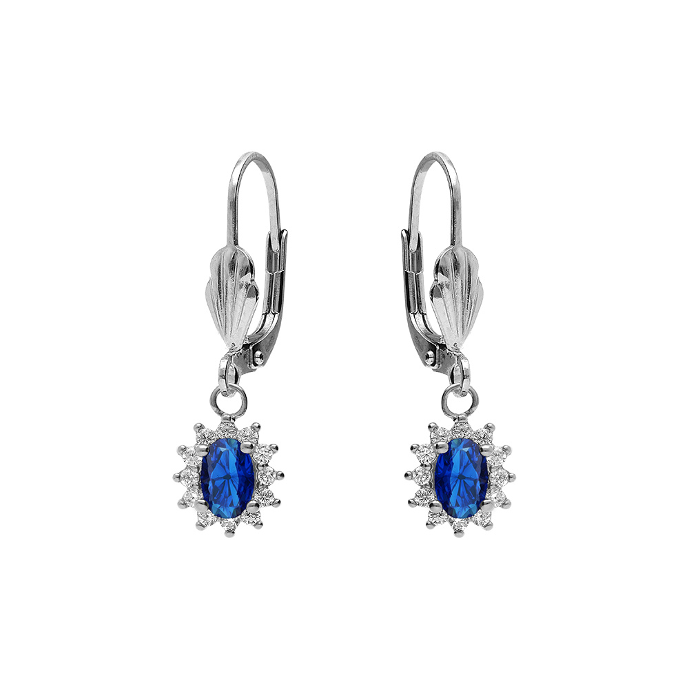 Boucles d\'oreille dormeuse en argent rhodi� oxyde central bleu fonc� entour� d\'oxydes blancs 7.5mm x 9.5mm - Vue 1