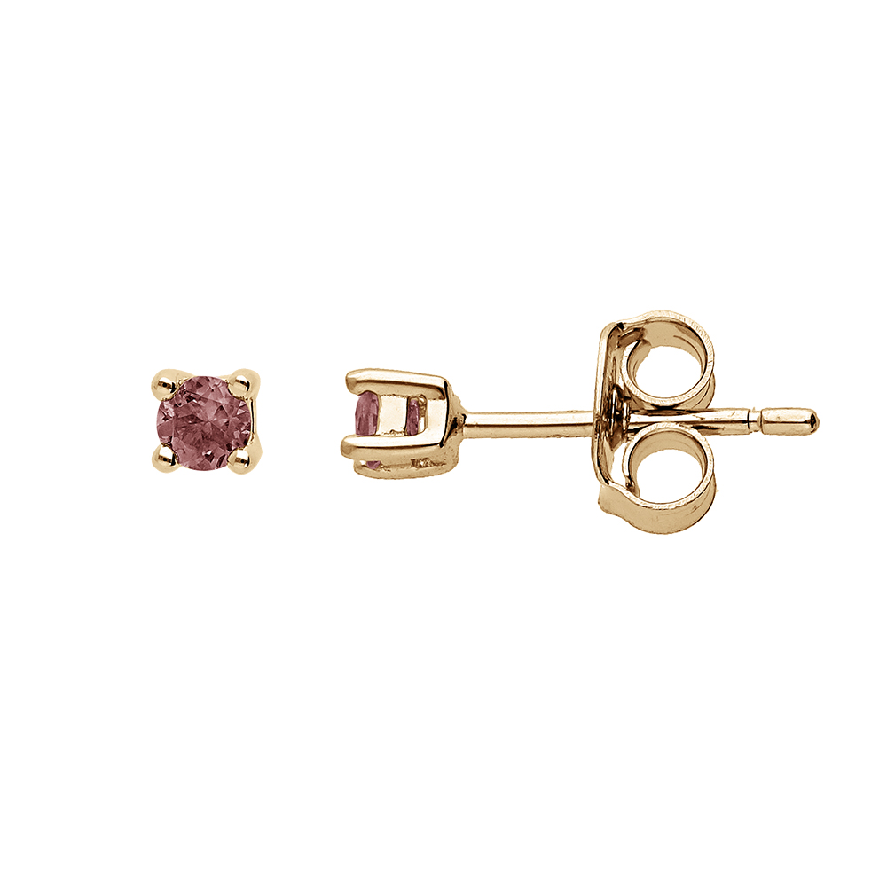 Boucles d\'oreille en plaqu� or pierre v�ritable Grenat 2.5mm et fermoir poussette - Vue 1