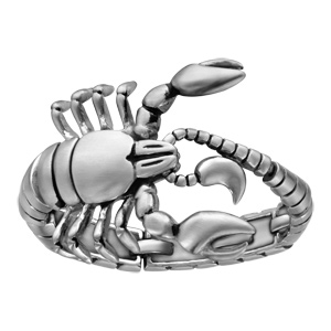 Bracelet en acier scorpion articulé - longueur 23,5cm - Vue 1