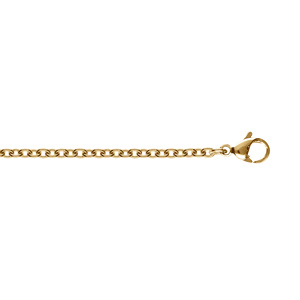 Chaîne en acier doré maille forcat 2.3mm - 45cm - Vue 1