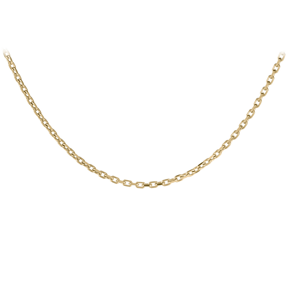 Cha�ne en acier et PVD jaune maille forcat 3 mm longueur 50cm - Vue 1