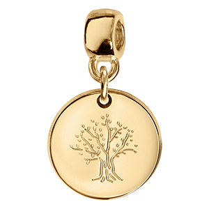Charms coulissant en vermeil rond arbre de vie