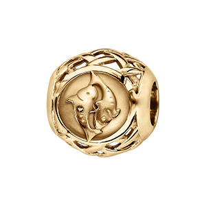 Charms coulissant en vermeil zodiaque poisson