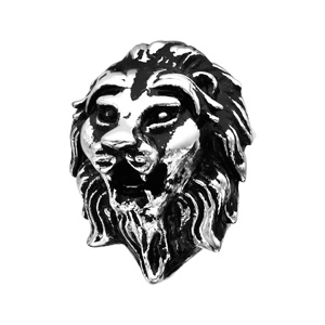 Charms Thabora grand modle pour homme en acier tte de lion patine - Vue 1