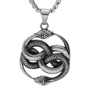 Collier en acier chane avec gros pendentif patin 39*44mm serpent 52+5cm - Vue 1