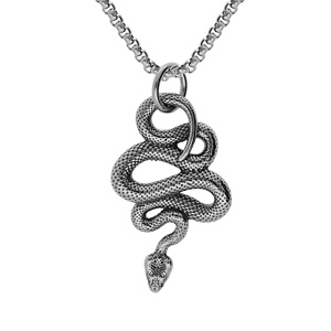 Collier en acier chane avec pendentif patin 40*25mm serpent enroul 53+5cm - Vue 1