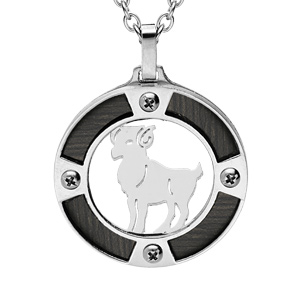 Collier en acier chane avec pendentif rond zodiaque Blier aspect bois noir et vis cruciforme 50+5cm - Vue 1