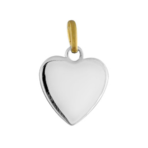 Pendentif acier et or coeur lisse 11mm - Vue 1
