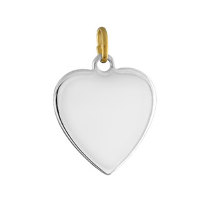 Pendentif acier et or coeur lisse moyen modèle - Vue 1