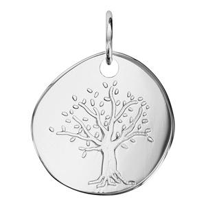 Pendentif en argent galet avec arbre de vie grav - Vue 1