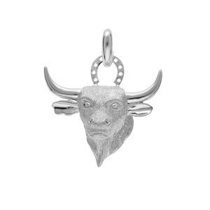 Pendentif en argent platin tte de taureau - Vue 1