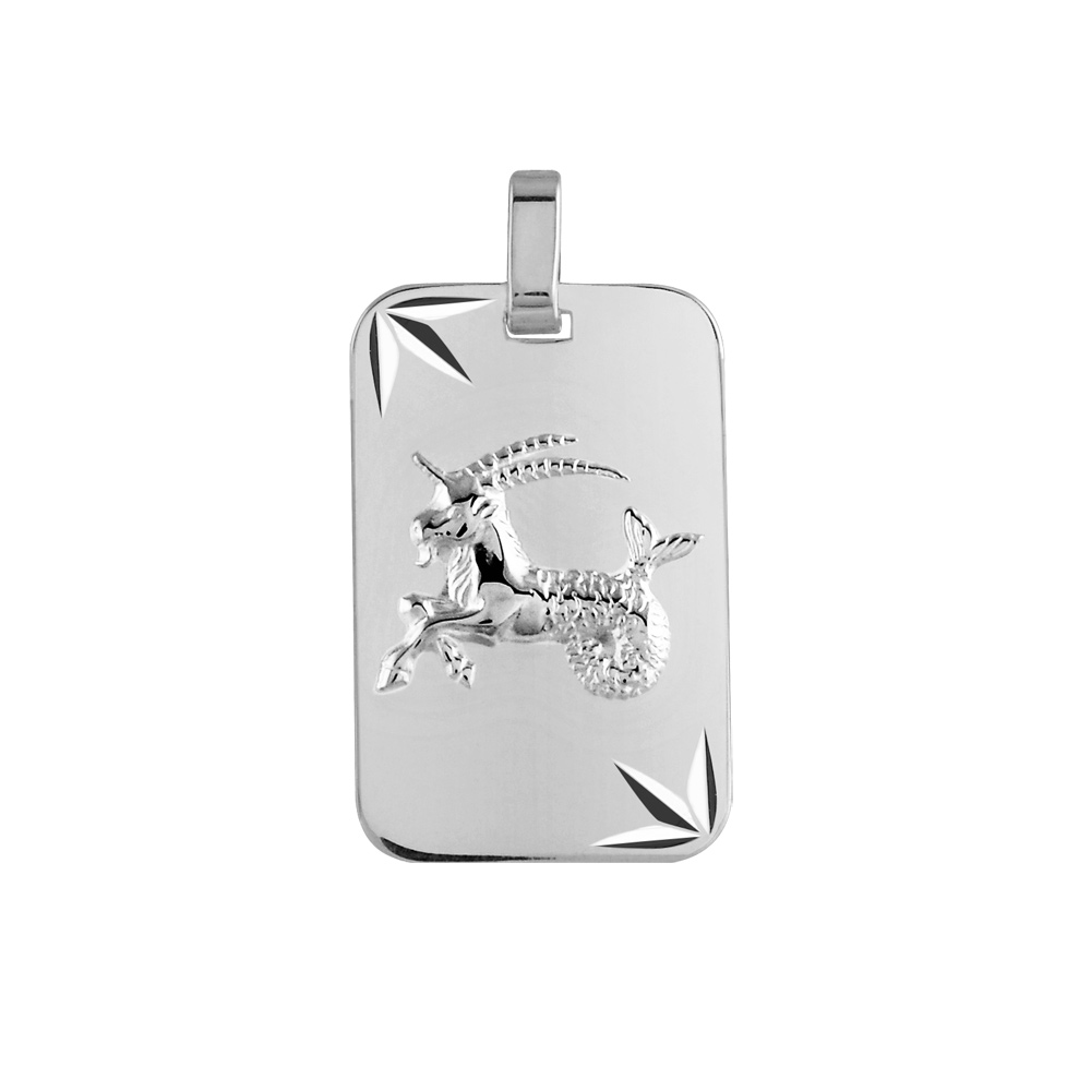 Pendentif en argent rhodi� plaque G.I diamant� �toil� zodiaque Capricorne - Vue 1