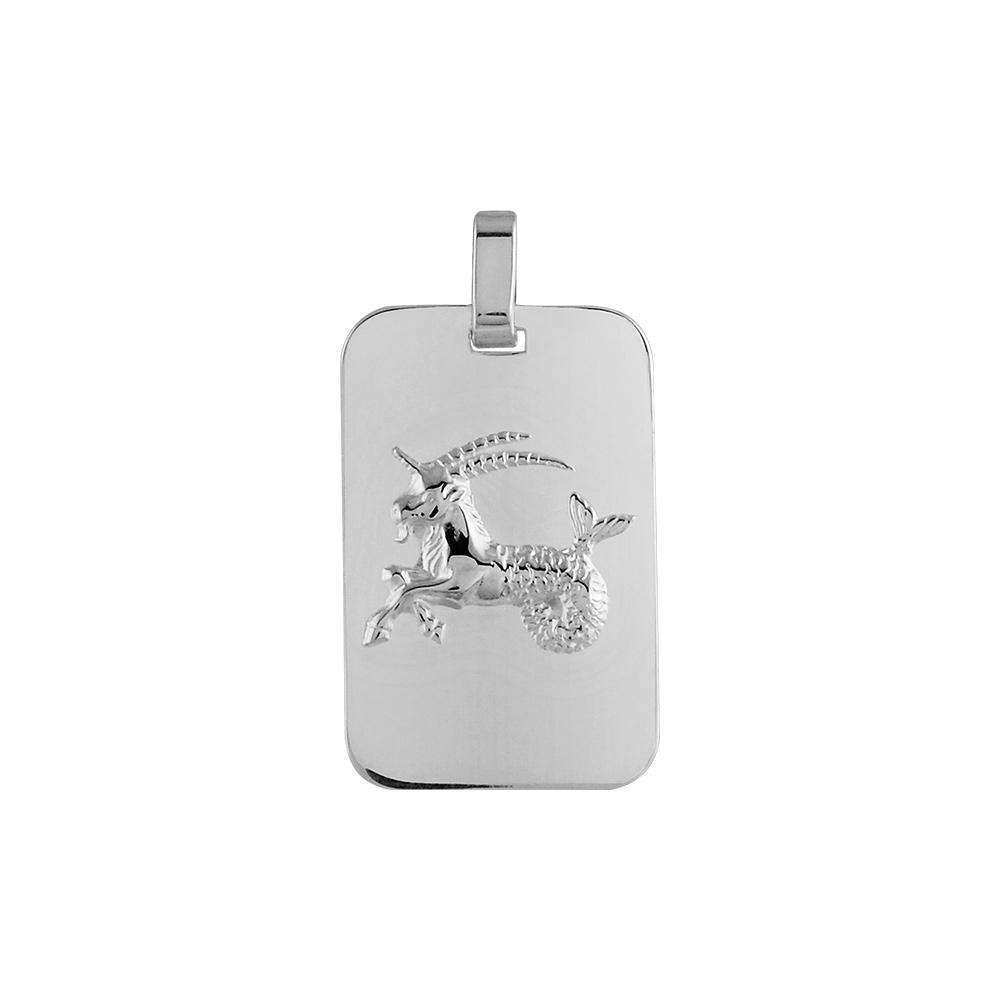 Pendentif en argent rhodi� plaque G.I. rectangulaire arrondie zodiaque Capricorne - Vue 1
