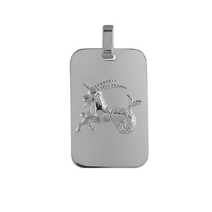 Pendentif en argent rhodi plaque G.I. rectangulaire arrondie zodiaque Capricorne - Vue 1