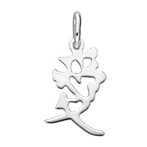 Pendentif en argent symbole chinois Amour - Vue 1