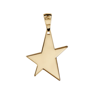 Pendentif en vermeil étoile à graver petit modèle - plaque prestige - Vue 1