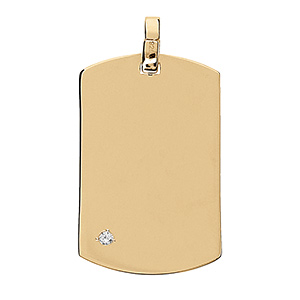 Pendentif en vermeil plaque GI 25*14mm avec un oxyde blanc serti