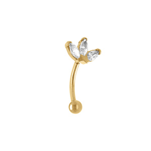 Piercing d\'oreilles en acier doré rook et arcade oxydes blancs - Vue 1
