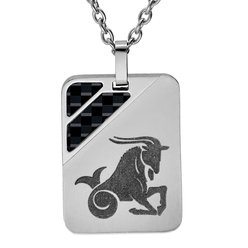 Collier en acier chaîne avec pendentif rectangulaire zodiaque Capricorne 2 bandes carbone 50+5cm