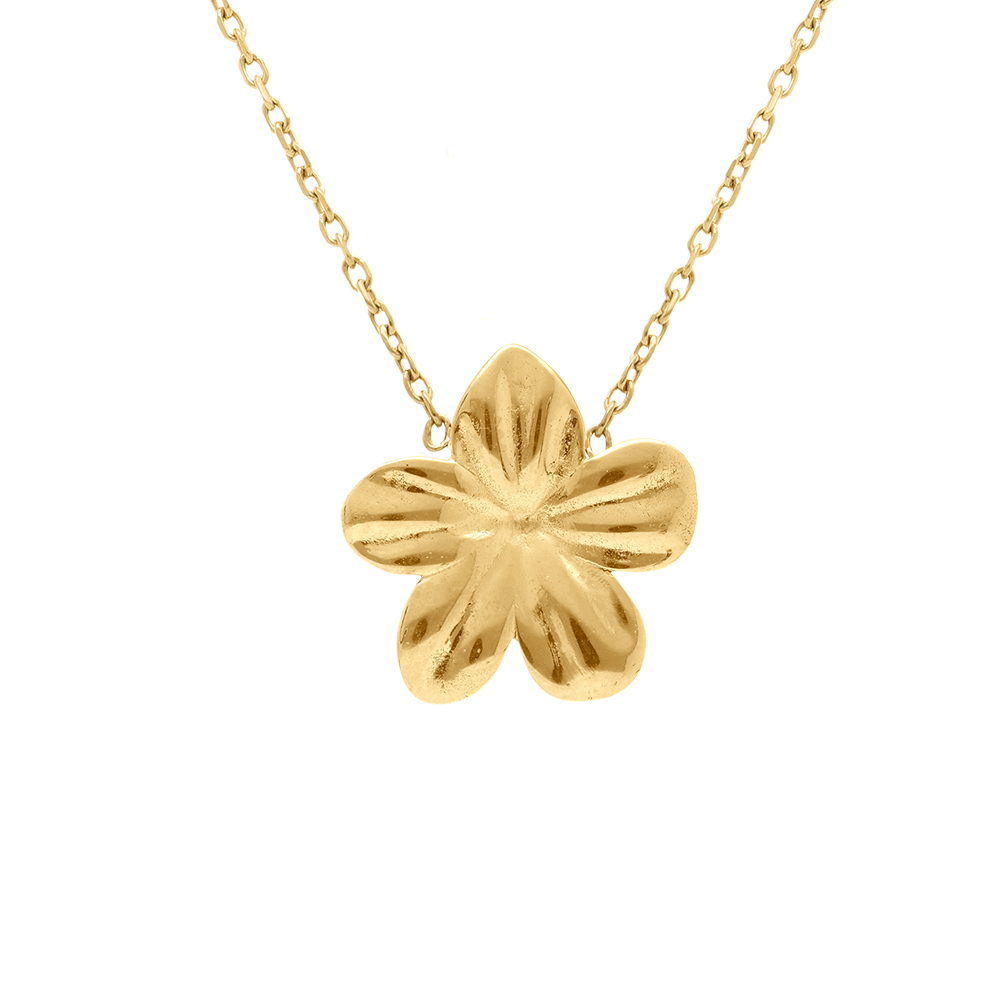 Collier en acier doré fleur 5 pétales - 40+4cm