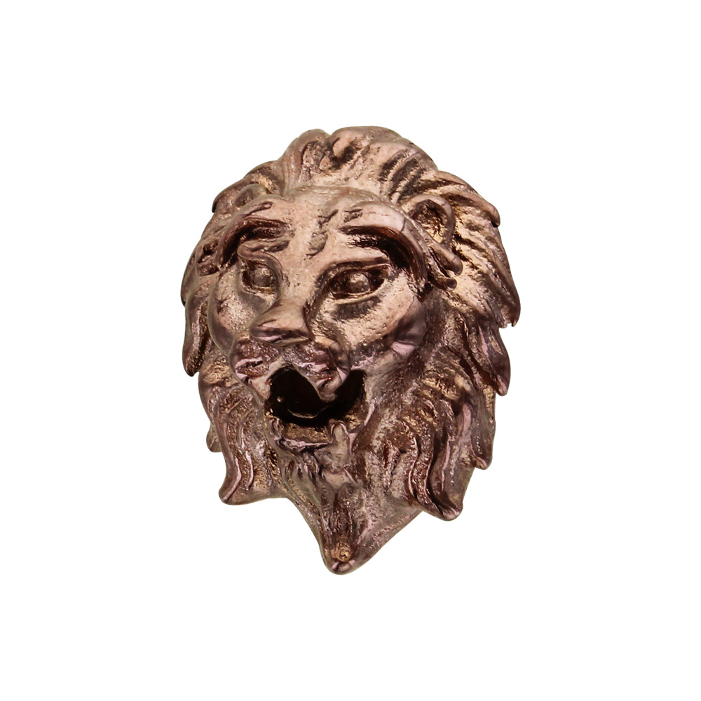Charms Thabora grand modèle pour homme en acier et PVD marron tête de lion