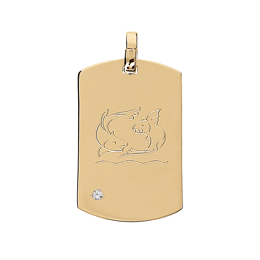 Pendentif en vermeil plaque GI 25*14mm avec un oxyde blanc serti - Vue 2