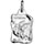 Pendentif en argent brillant parchemin zodiaque Capricorne