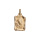 Pendentif en vermeil massif brillant et sable grand parchemin lion