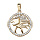 Pendentif en vermeil signe du zodiaque Lion et contour d'oxydes blancs sertis