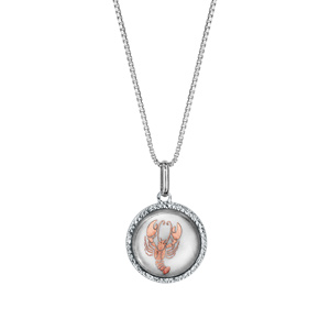 Collier en argent rhodi pendentif rond nacre blanche vritable zodiaque cancer dorure rose 42cm + 3cm - Vue 2