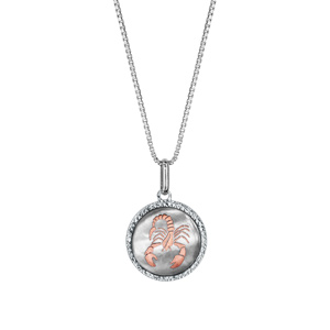 Collier en argent rhodi pendentif rond nacre blanche vritable zodiaque scorpion dorure rose 42cm + 3cm - Vue 2