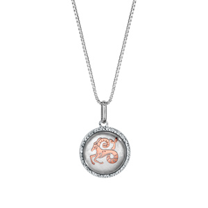 Collier en argent rhodi pendentif rond nacre blanche vritable zodiaque capricorne dorure rose 42cm + 3cm - Vue 2