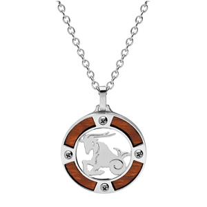 Collier en acier chane avec pendentif rond zodiaque Capricorne aspect bois clair et vis cruciforme 50+5cm - Vue 2