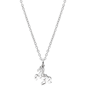 Collier en acier avec Pendentif licorne 36+6cm - Vue 2