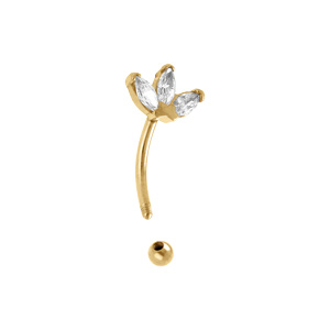 Piercing d\'oreilles en acier doré rook et arcade oxydes blancs - Vue 2