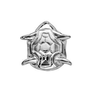 Charms Thabora en argent rhodi tortue - Vue 3