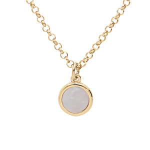 Collier en argent et dorure jaune chaîne avec pendentif Nacre véritable 42+3cmcm