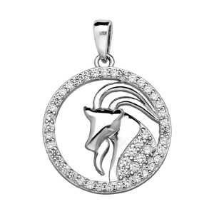 Pendentif en argent rhodié rond avec signe du zodiaque Capricorne et contour d’oxydes blancs sertis