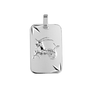 Pendentif en argent rhodié plaque G.I diamanté étoilé zodiaque Capricorne