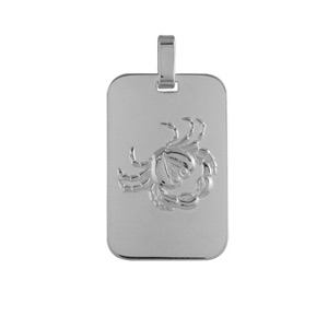Pendentif en argent rhodié plaque G.I. rectangulaire arrondie zodiaque Cancer
