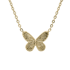 Collier en acier et PVD jaune chaîne avec pendentif papillon 40+5cm