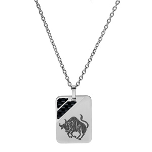 Collier en acier cha�ne avec pendentif rectangulaire zodiaque Taureau 2 bandes carbone 50+5cm - Vue 2