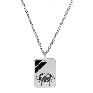 Collier en acier cha�ne avec pendentif rectangulaire zodiaque Cancer 2 bandes carbone 50+5cm - Vue 2