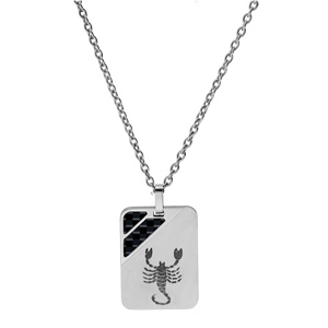 Collier en acier cha�ne avec pendentif rectangulaire zodiaque Scorpion 2 bandes carbone 50+5cm - Vue 2