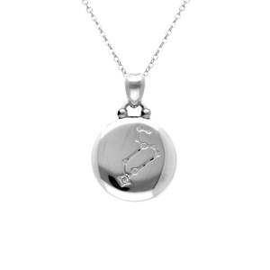 Collier en acier avec m�daille 15mm zodiaque lion recto verso constellation,  40+10cm - Vue 2